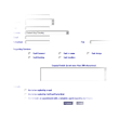 Online Query Form